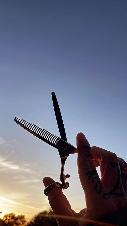 Protecting and servicing your Haircutting Shears!