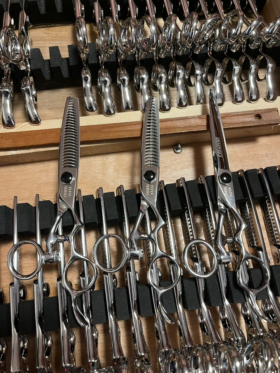 Clip Like a Pro: The Ultimate Guide to Choosing the Best Shears