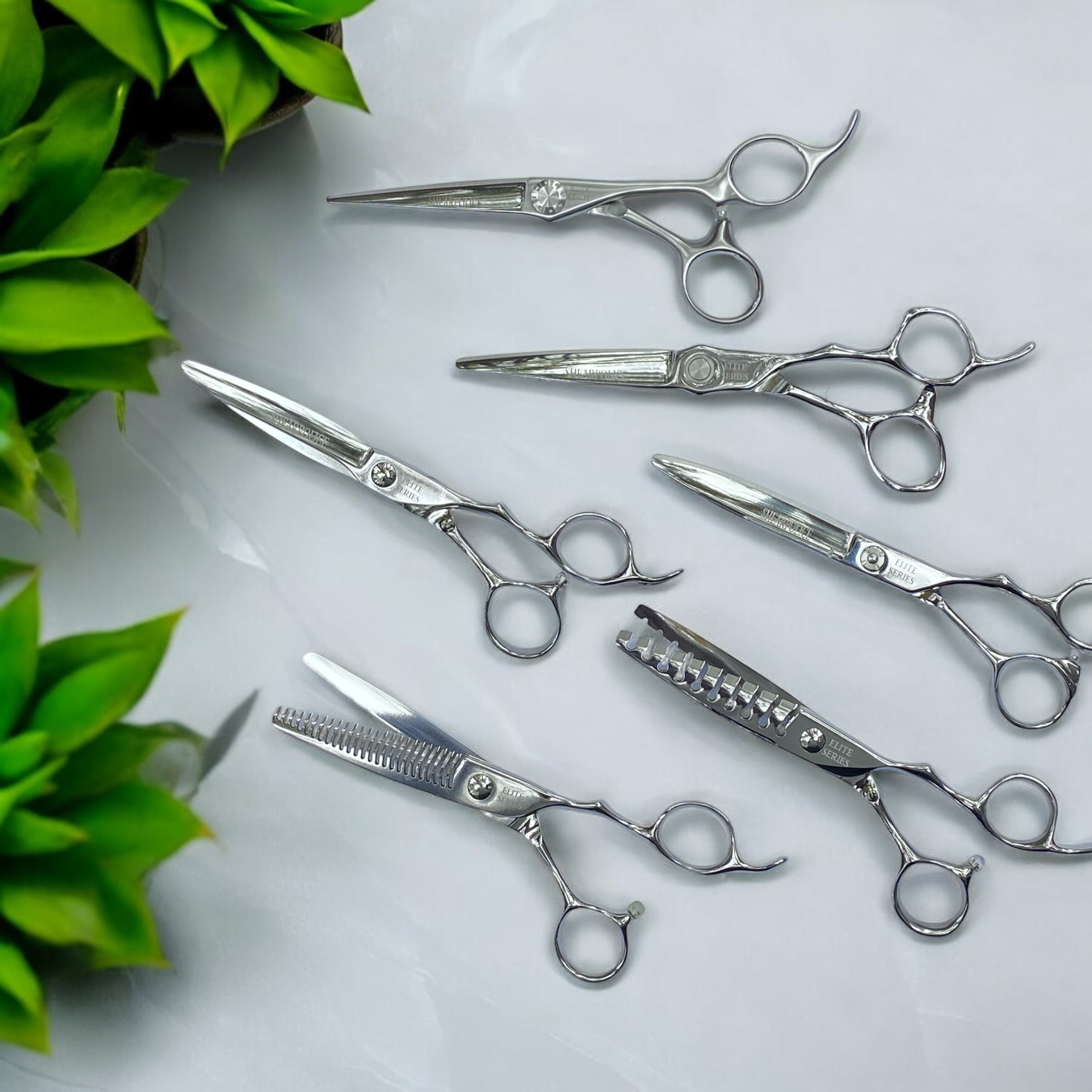 Premium professional hair cutting shears maintained by ShearPolice